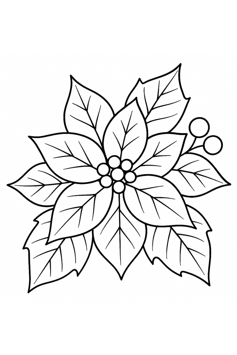 flor de pascua dibujo para colorear con estrella de hojas y centro redondo para niños