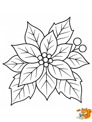 Dibujo para colorear: Flor de pascua dibujo